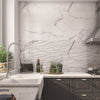 Palatina Glossy 30 x 90 Tile with Decor in Kitchen