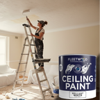Ceiling PAinter