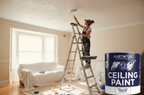 Ceiling Paint