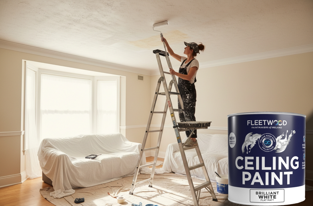 Ceiling Paint