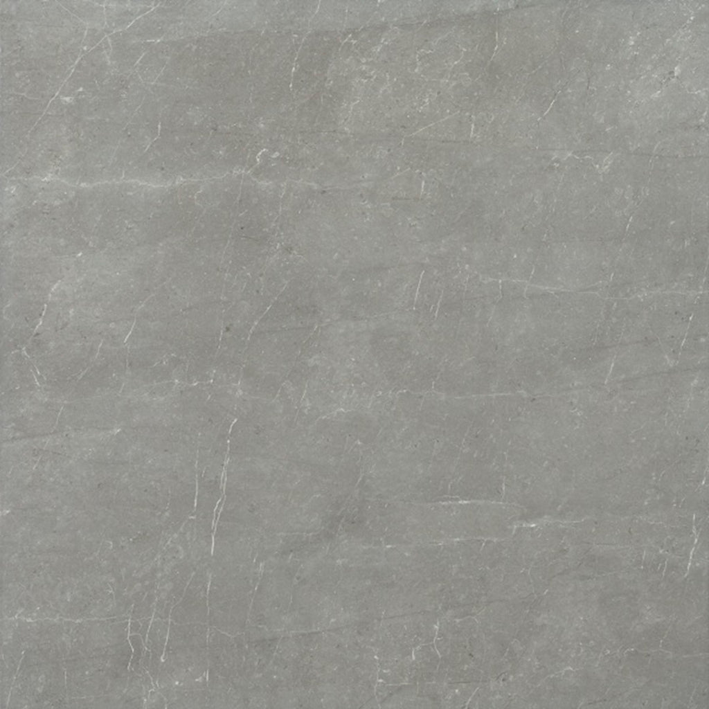 Example of Bellagio Grey Tile 