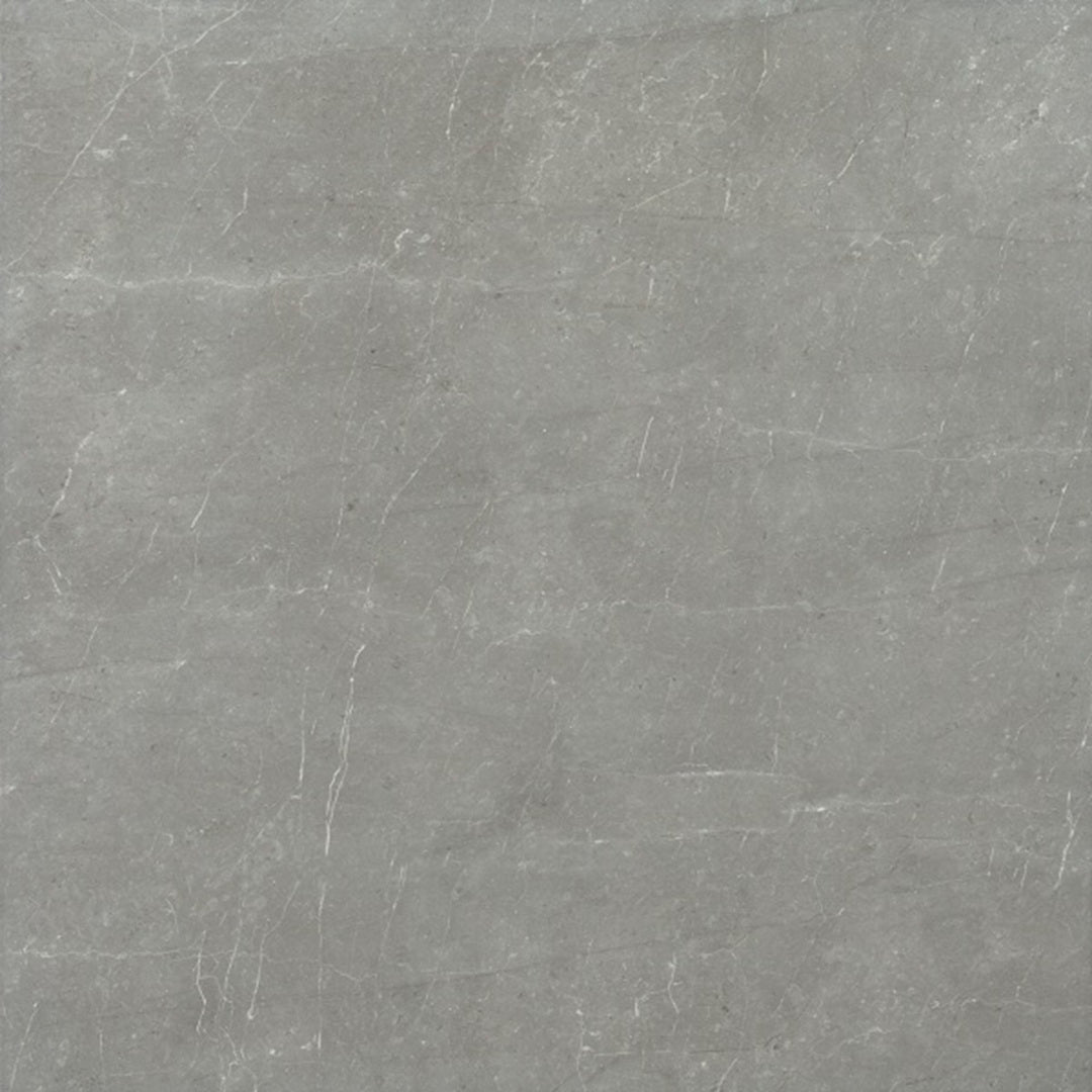 Example of Bellagio Grey Tile 