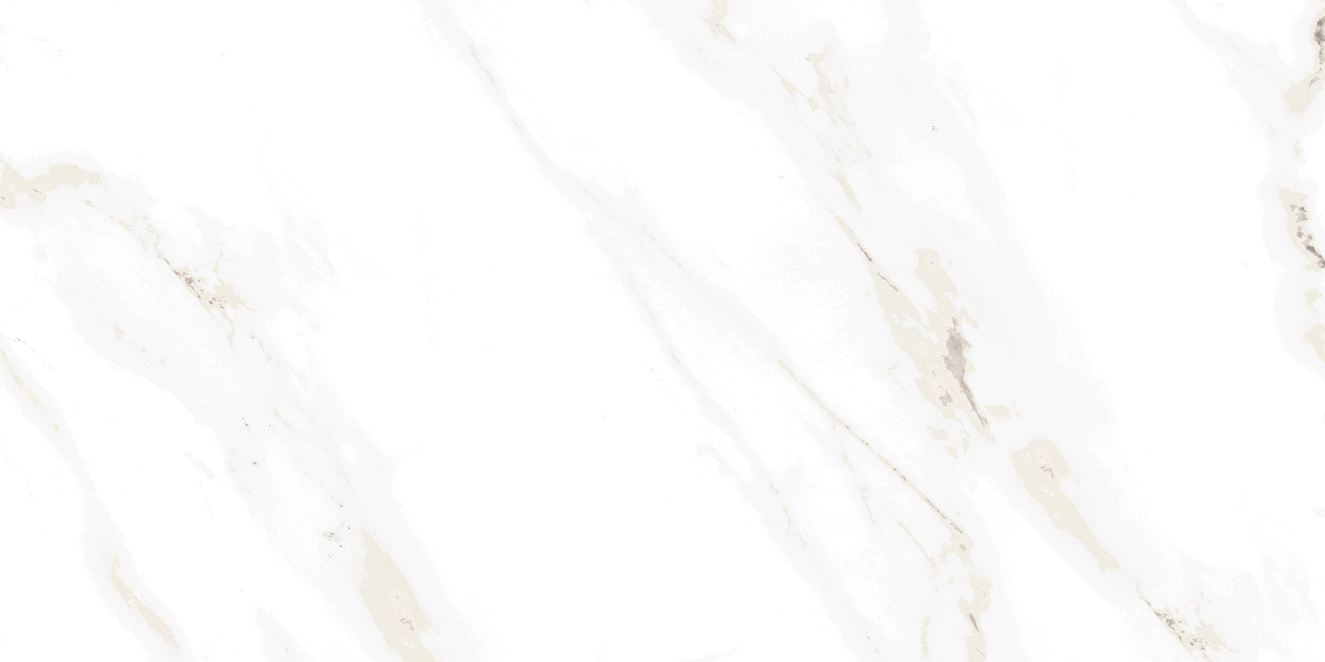 Example of Palatina 30x60 Tile