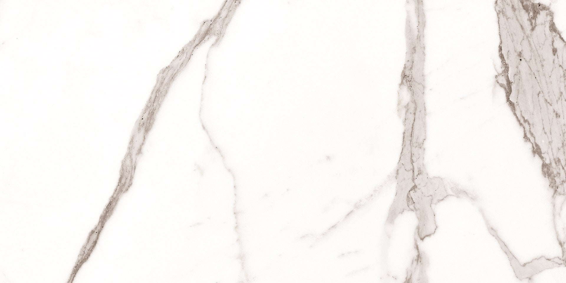 Example of Palatina 30x60 Tile