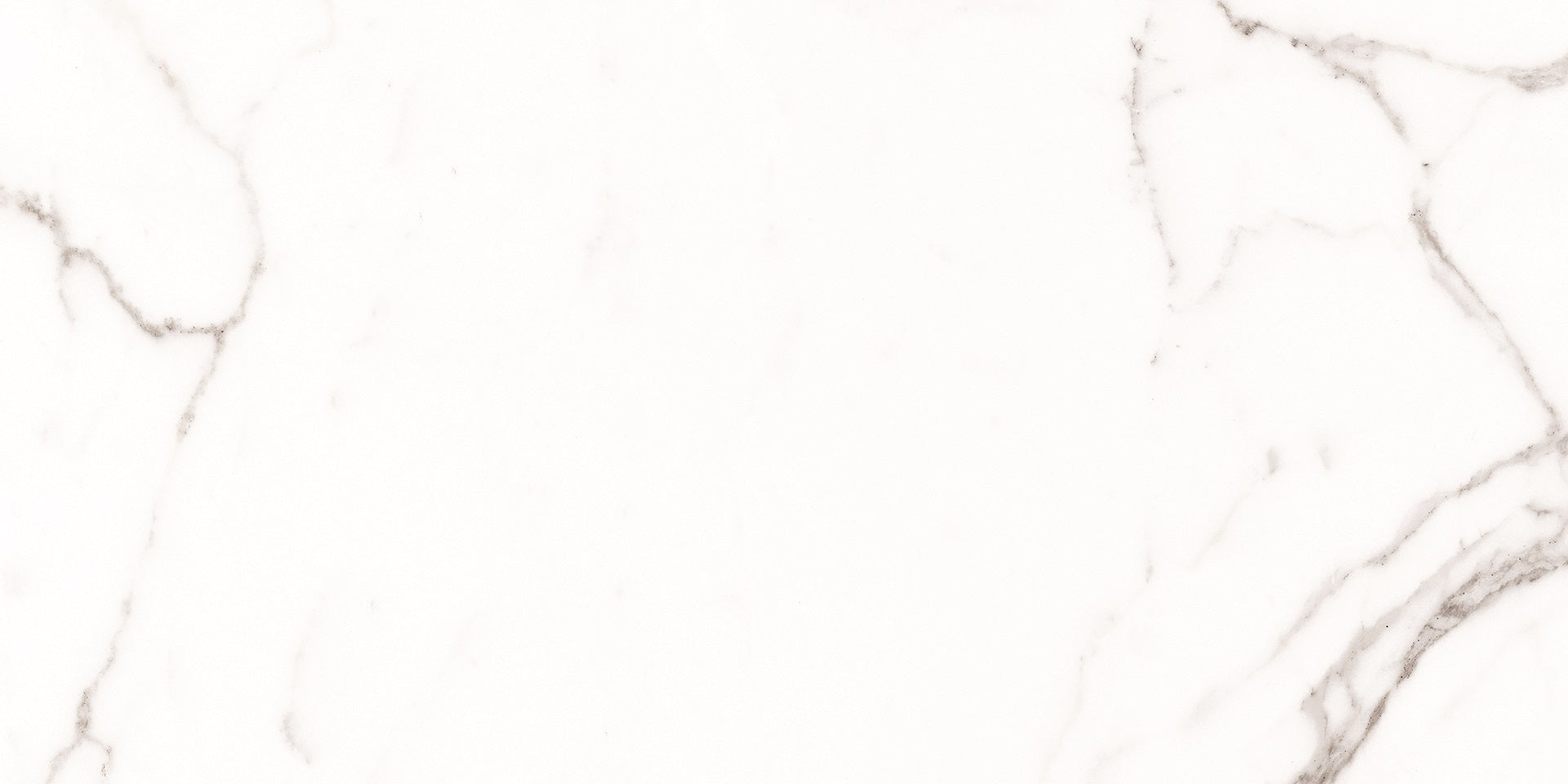 Example of Palatina 30x60 Tile