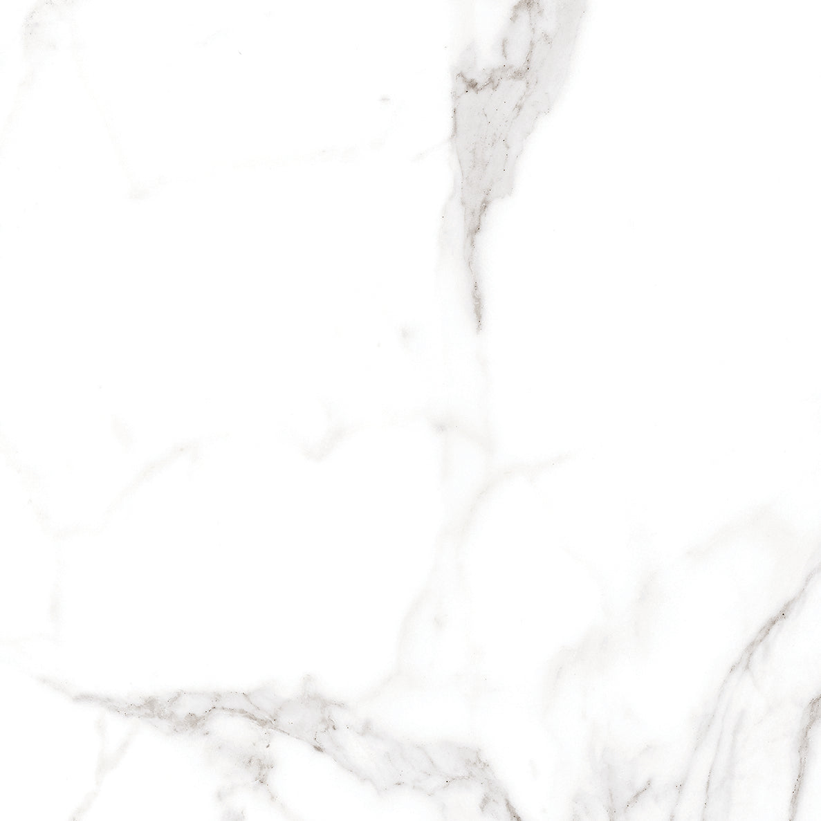 Example of Palatina Matt 100 x 100 Porcelain Tile