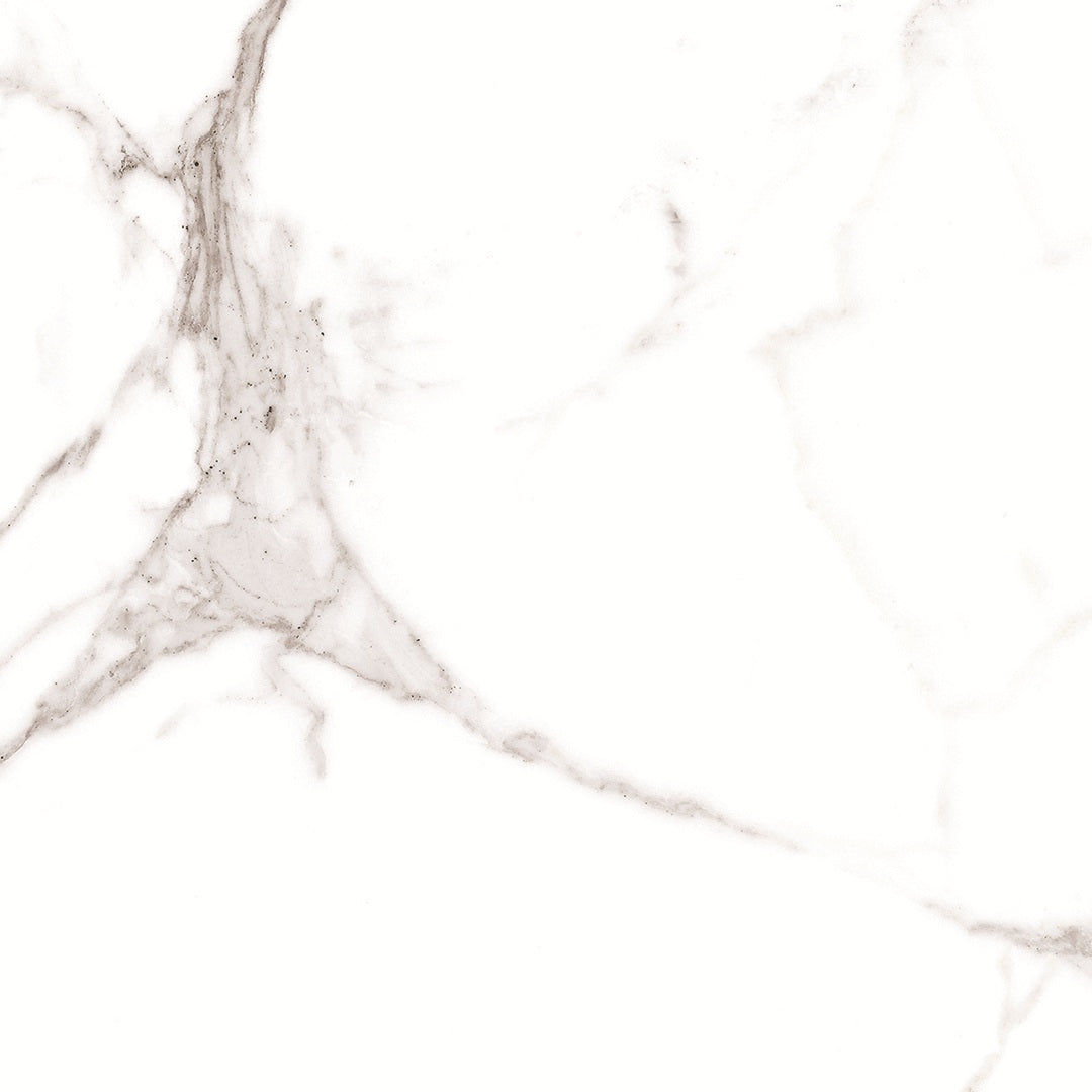 Example of Palatina Matt 60 x 60 Rectified Porcelain Tile