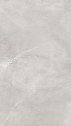 Example of Quantum Greige 60 x 120 Tile