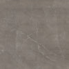 Example of Reness Gris Tile