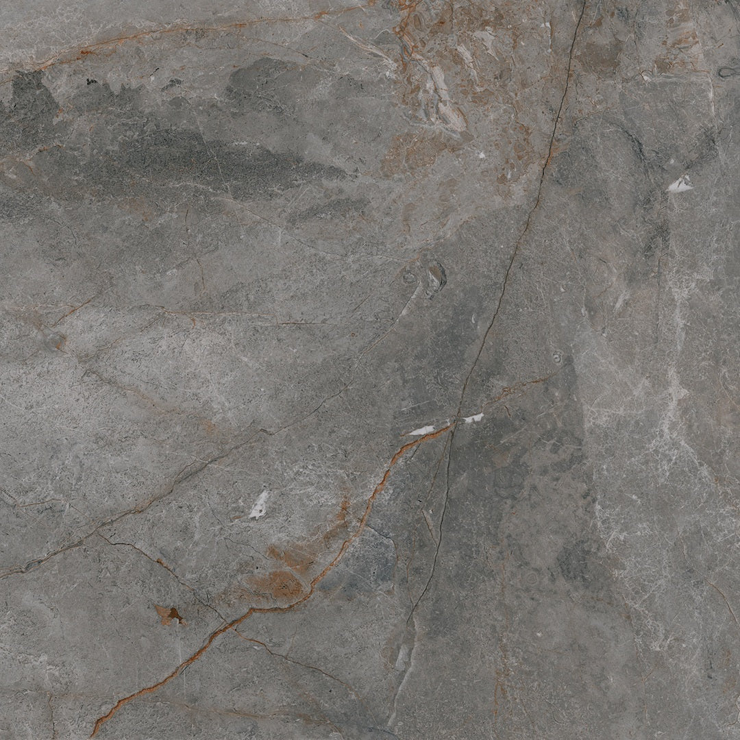 Example of Toscana Grey Tile