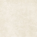 Exmple of Plock White Tile