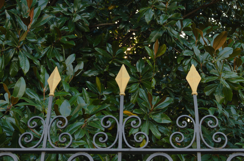 Decorative metal fence with pointed top pieces in front of green foliage