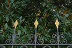 Decorative metal fence with pointed top pieces in front of green foliage