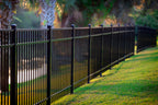 Black metal fence along a grassy area with trees in the background