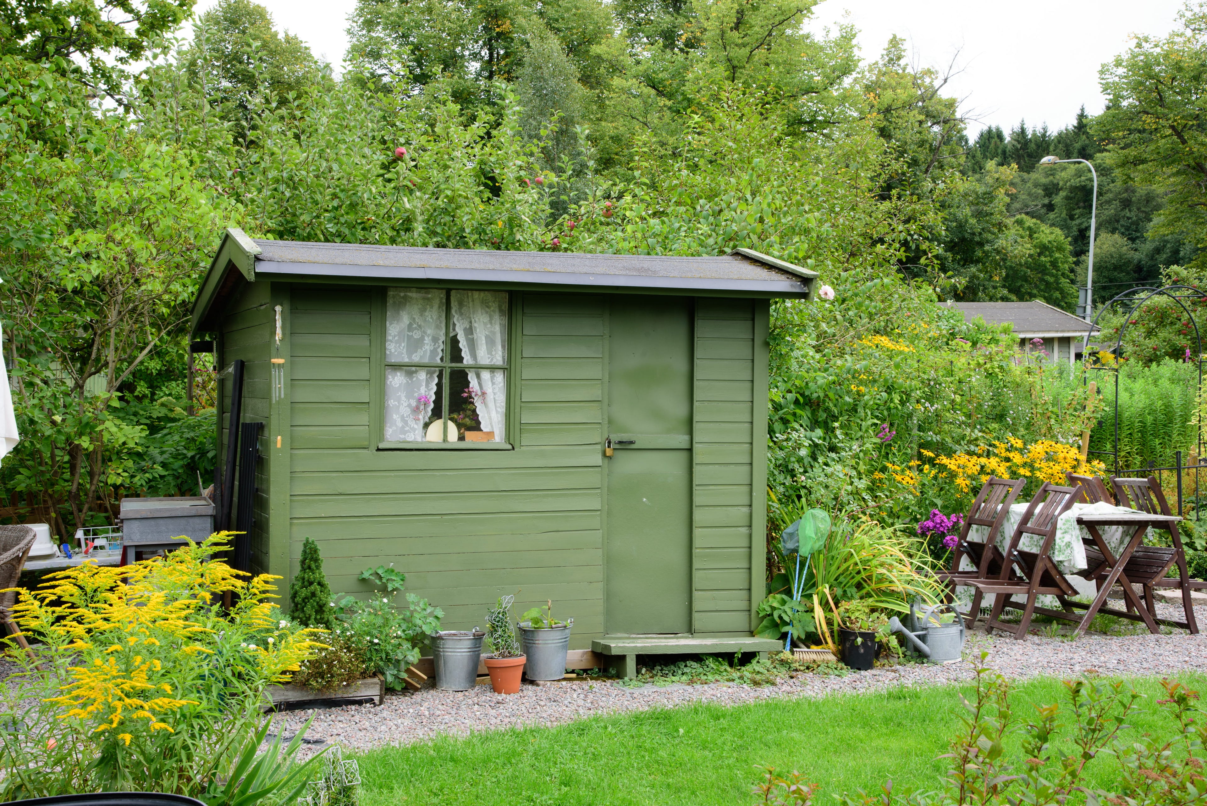 Green garden shed in a lush garden with trees and flowers.