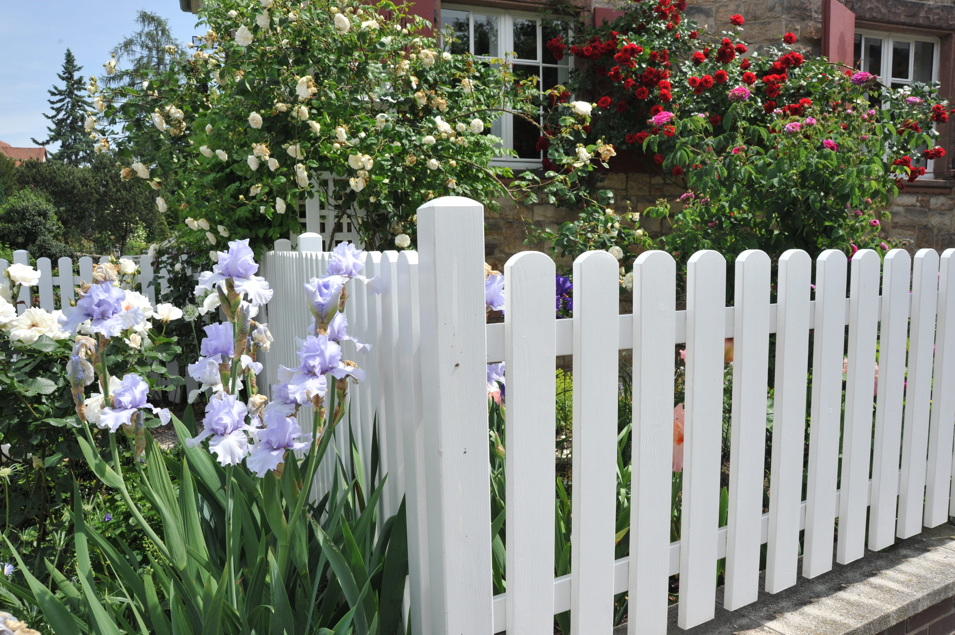 White picket fence with flowers and a garden in the background