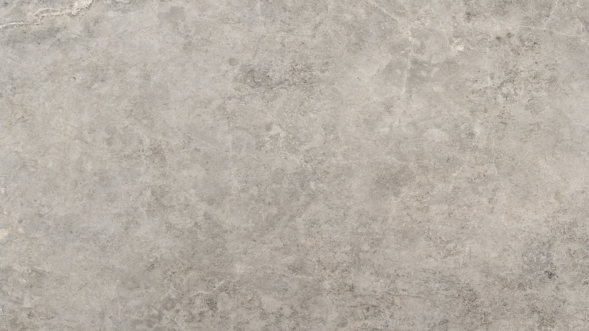 Stendal Dark Grey Tile 60 x 90 cm