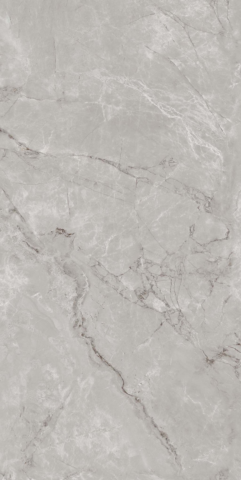 Sample British Grey Porcelain 60 x 120 Tile 3