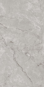 Sample British Grey Porcelain 60 x 120 Tile 3