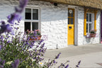 White stone cottage with a yellow door and lavender flowers in the foreground