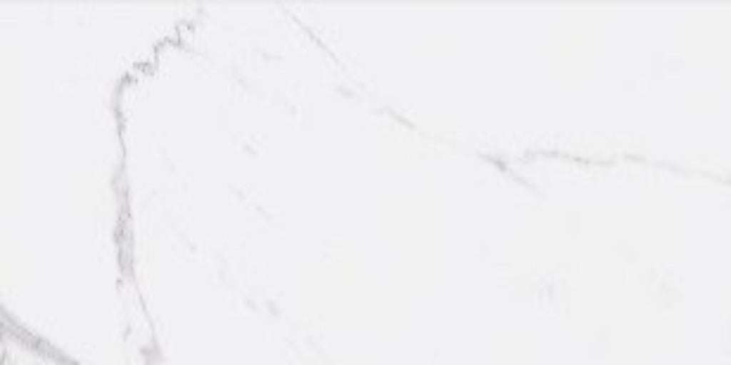 Sample Tiles of Carrara 60 x 120 Porcelain